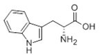 D-tryptophan